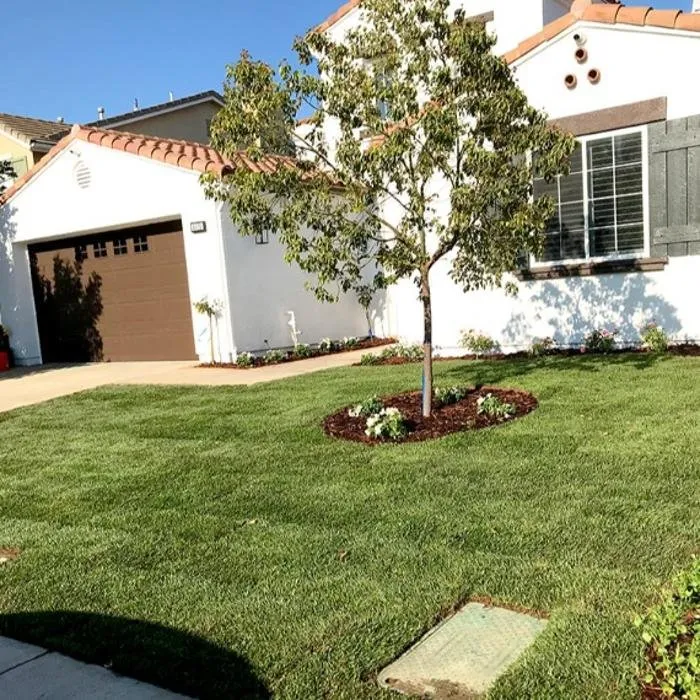 Top-rated yard cleanup service for outdoor upgrades in Thousand Oaks, CA by Green City Gardening