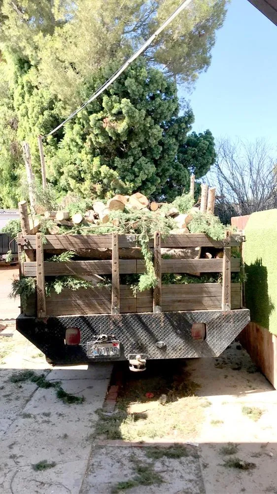 Expert lawn care service in Thousand Oaks, CA by Green City Gardening