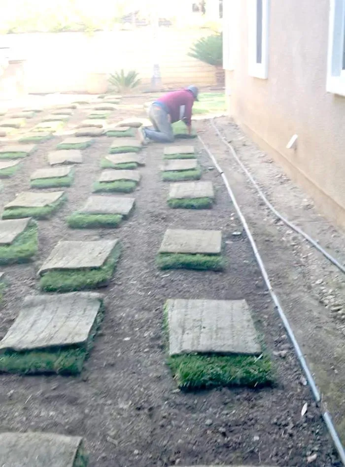 Affordable residential landscaping in Thousand Oaks, CA - Green City Gardening