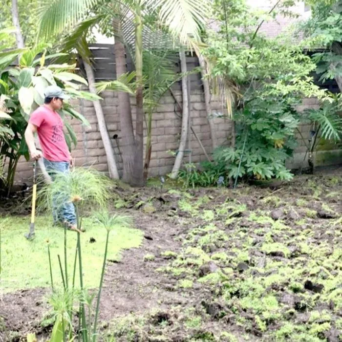 Affordable landscape design experts serving Thousand Oaks, CA - Green City Gardening