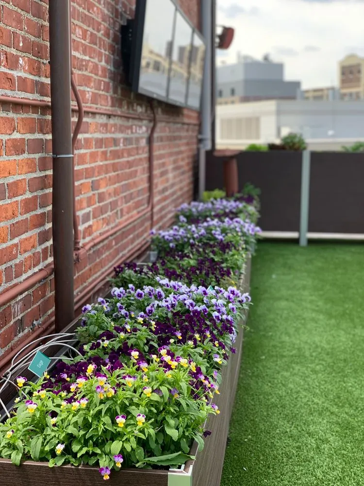 Custom landscape installation in Somerville, MA - Green City Growers