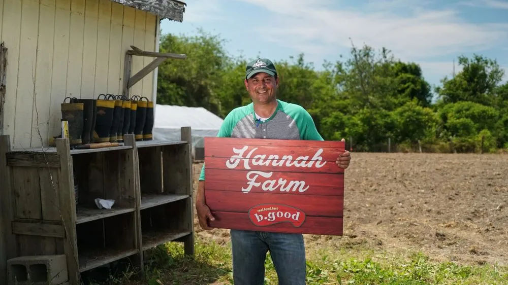 Custom lawn care service in Somerville, MA - Green City Growers