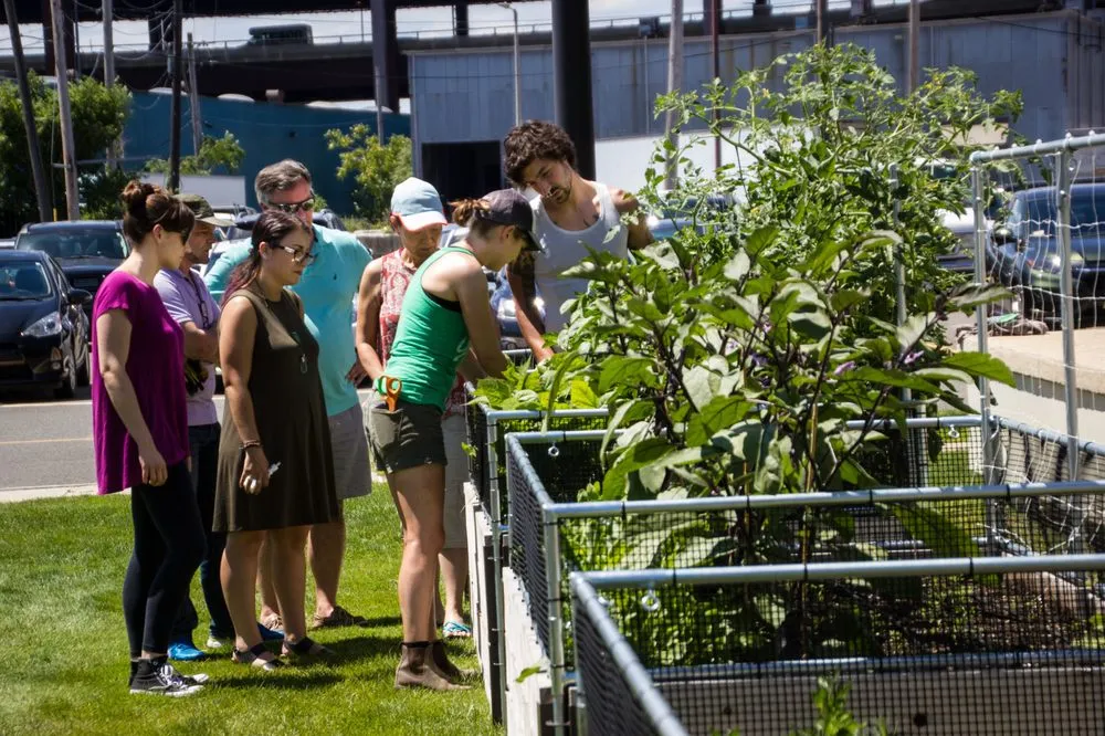 Trusted lawn care service for residential properties in Somerville, MA by Green City Growers