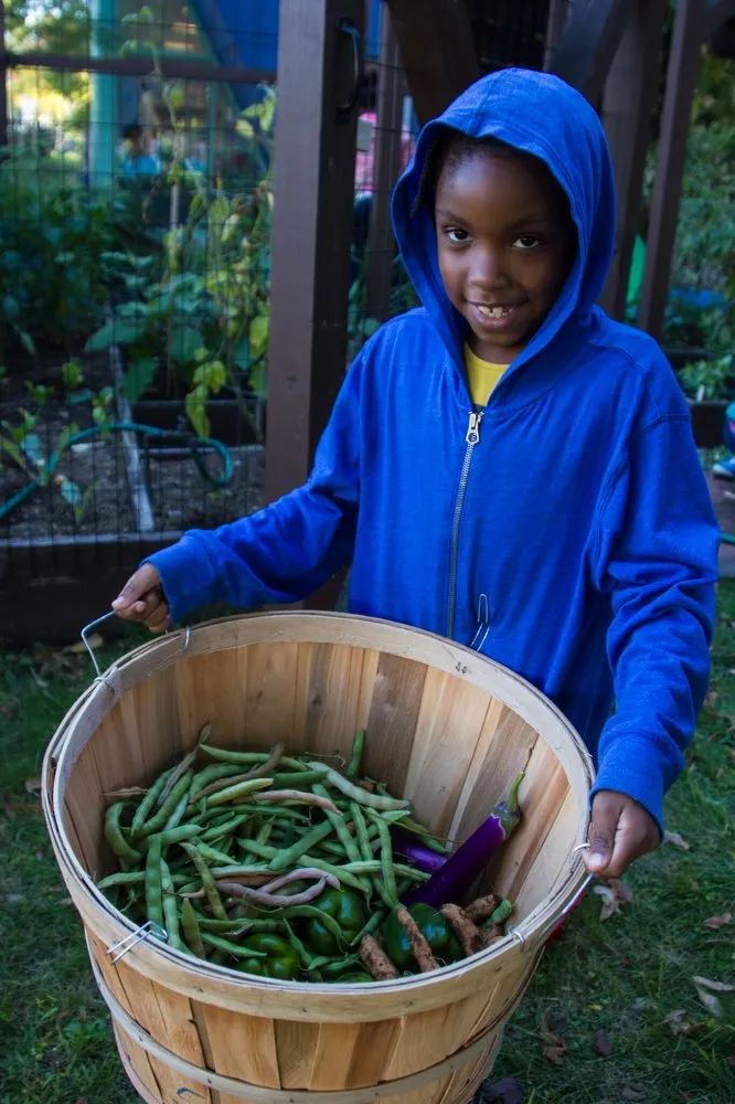 Custom outdoor landscaping experts serving Somerville, MA - Green City Growers