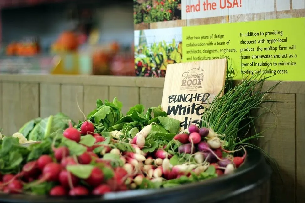 Trusted landscaping services in Somerville, MA - Green City Growers