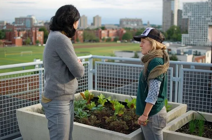 Top-rated yard cleanup service in Somerville, MA - Green City Growers