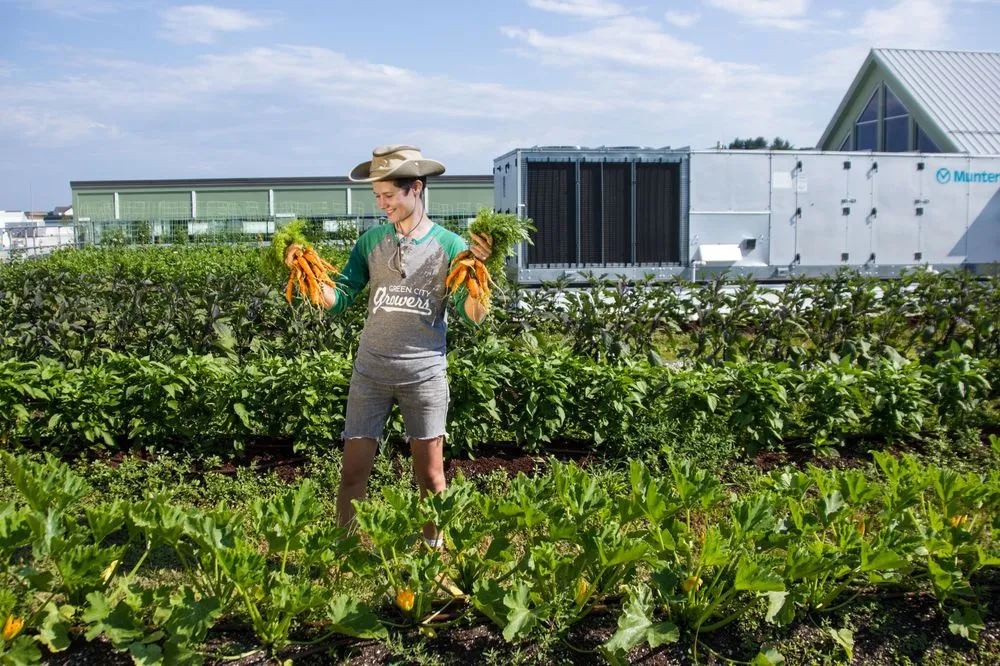 Local outdoor landscaping experts serving Somerville, MA - Green City Growers