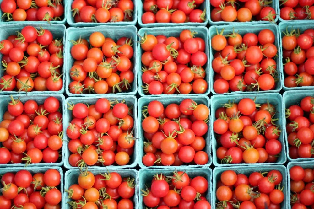 Custom yard maintenance for outdoor upgrades in Somerville, MA by Green City Growers