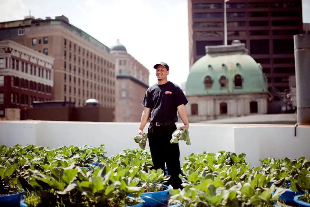 Top-rated residential landscaping in Somerville, MA by Green City Growers