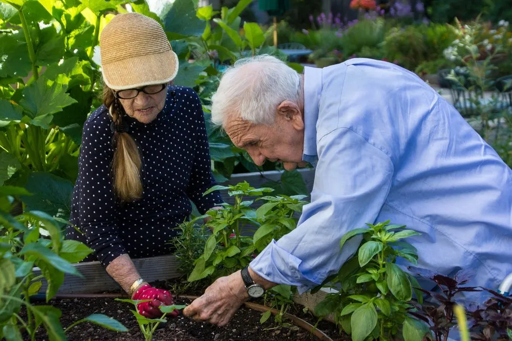 Local landscaping services in Somerville, MA by Green City Growers