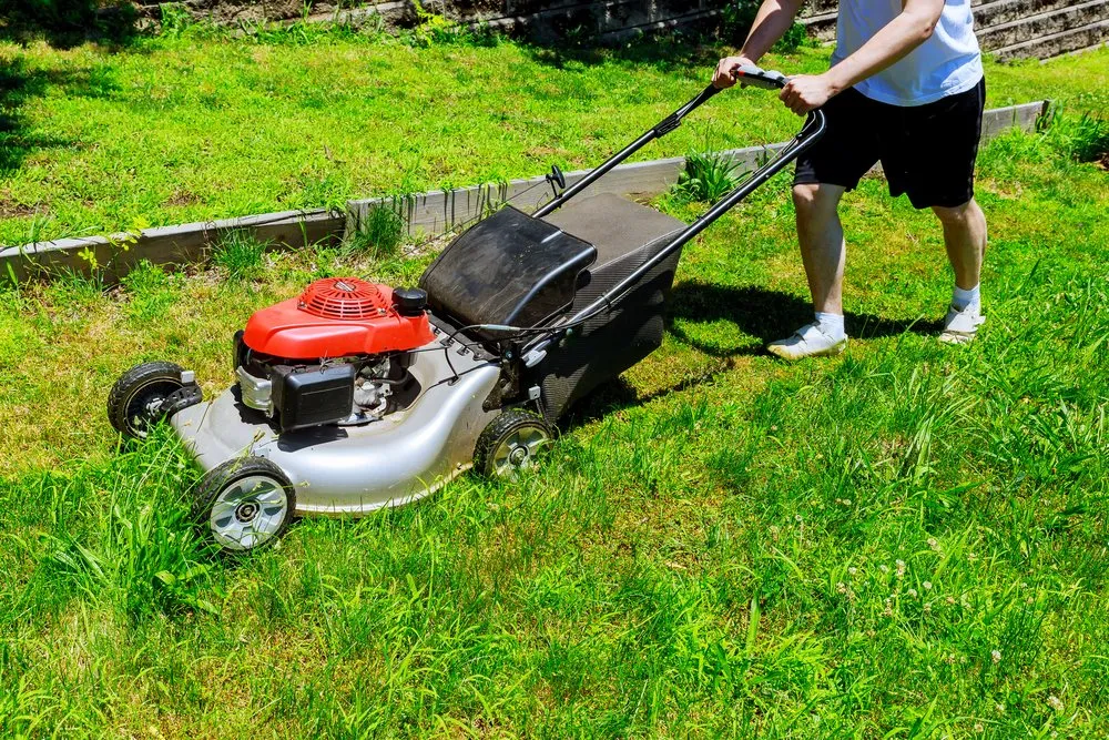 Affordable lawn care service with custom design across Mesquite, TX - Green City Landscape & Lawn Care
