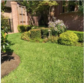 Local lawn care service experts serving Mesquite, TX - Green City Landscape & Lawn Care
