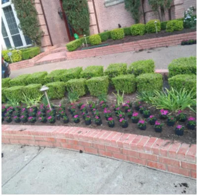 Expert garden landscaping near you in Mesquite, TX by Green City Landscape & Lawn Care