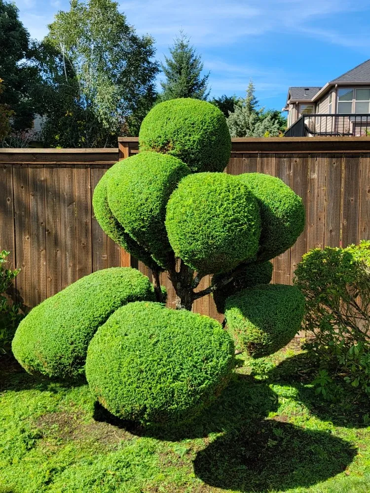 Expert lawn mowing service in Fairview, OR by Green City Landscape Maintenance