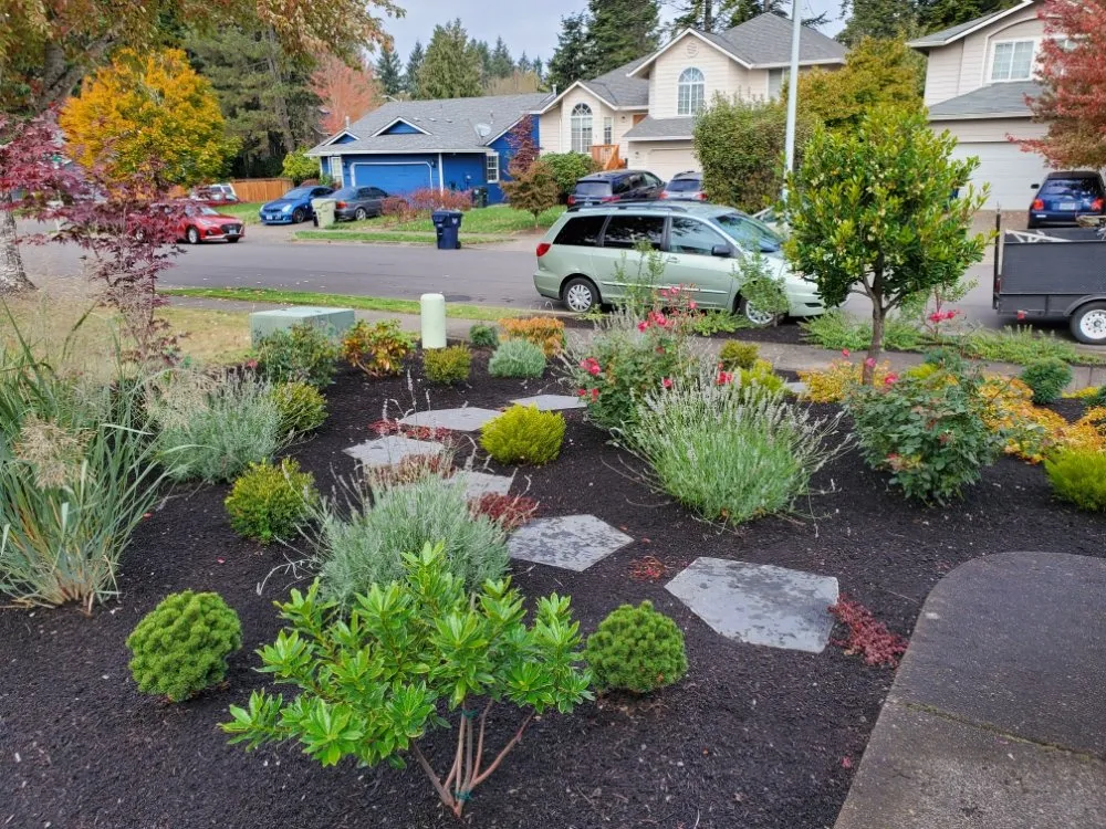 Affordable yard cleanup service experts serving Fairview, OR - Green City Landscape Maintenance