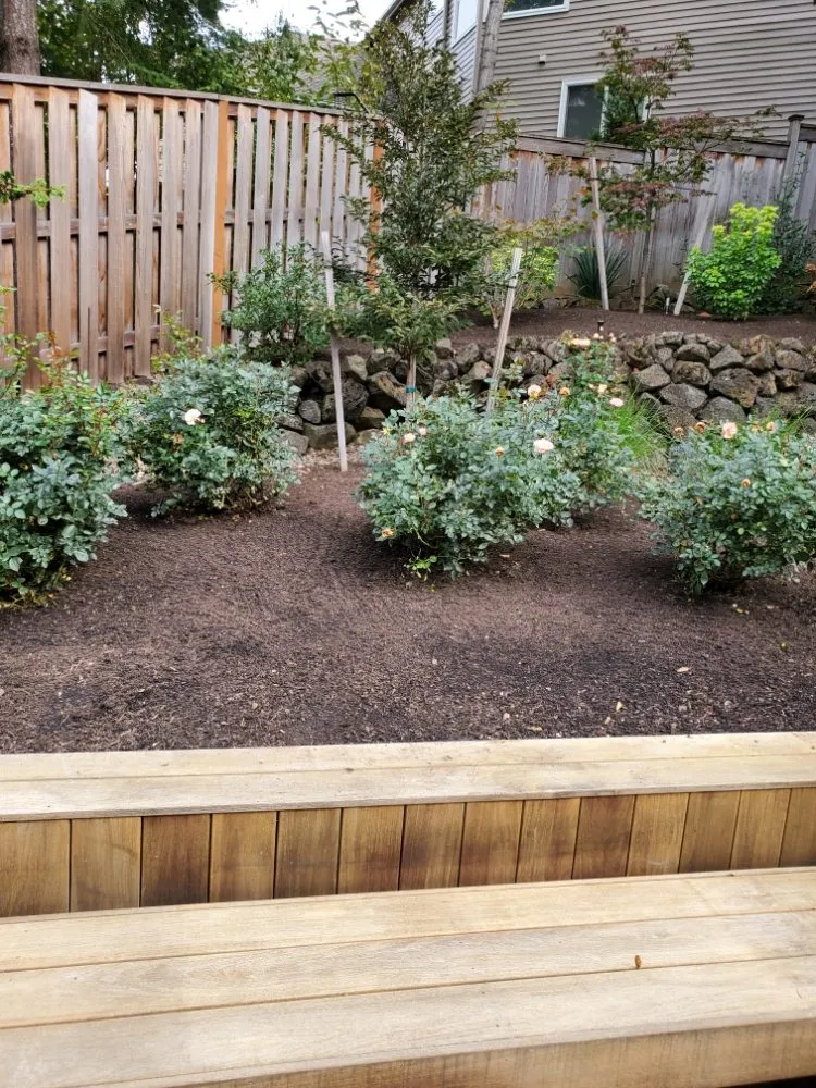 Trusted lawn mowing service for year-round maintenance across Fairview, OR - Green City Landscape Maintenance