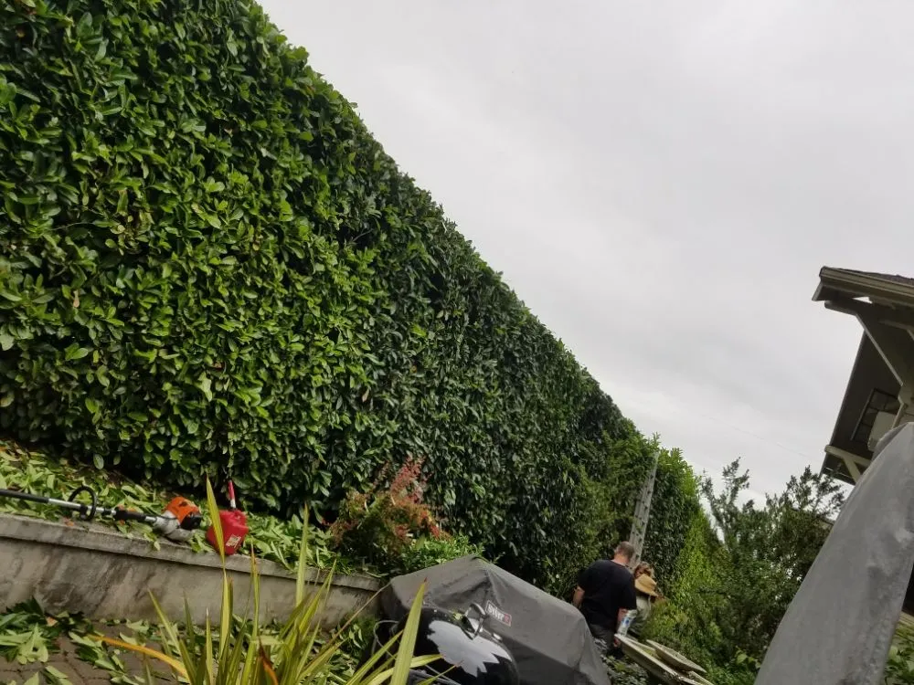 Local residential landscaping in Fairview, OR by Green City Landscape Maintenance