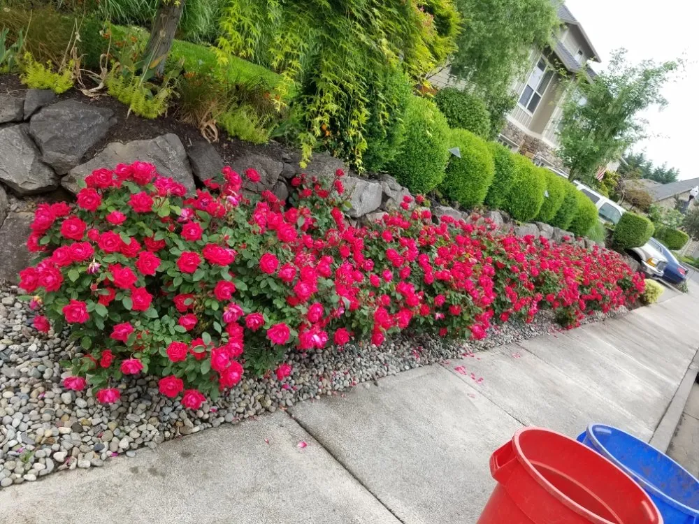 Affordable landscape design for beautiful yards in Fairview, OR by Green City Landscape Maintenance