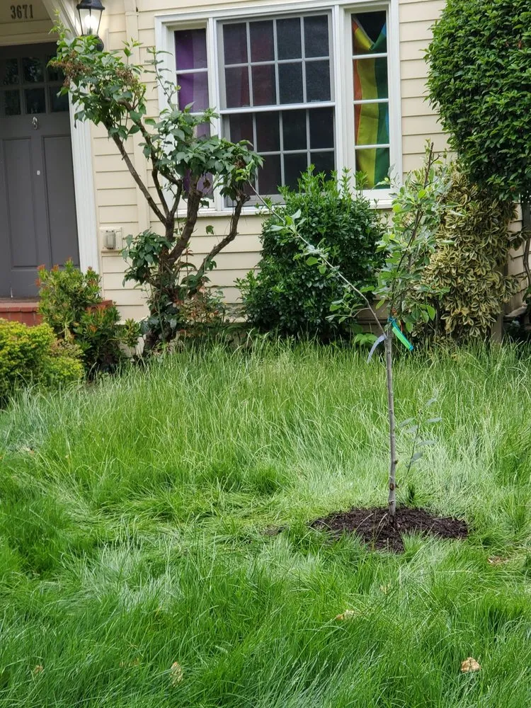 Custom garden landscaping near you in Fairview, OR by Green City Landscape Maintenance