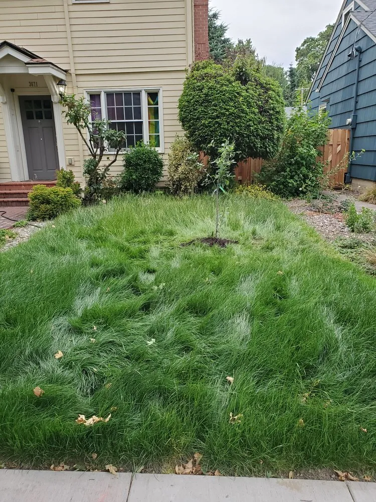 Affordable outdoor landscaping in Fairview, OR - Green City Landscape Maintenance