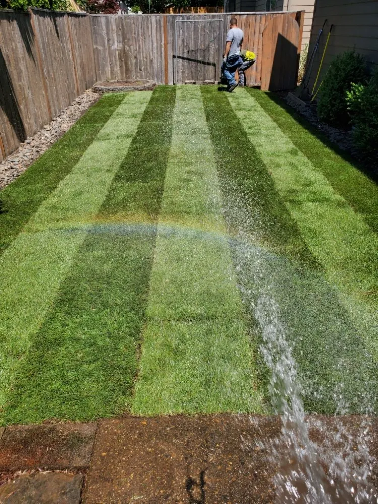 Reliable lawn care service experts serving Fairview, OR - Green City Landscape Maintenance