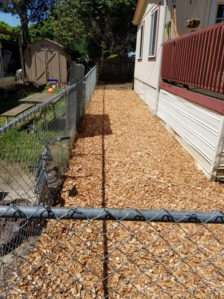 Affordable lawn care service experts serving Fairview, OR - Green City Landscape Maintenance