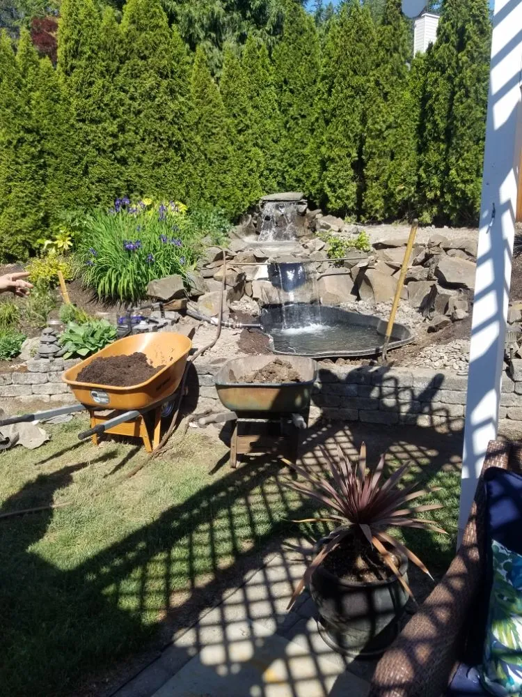 Trusted yard cleanup service experts serving Fairview, OR - Green City Landscape Maintenance