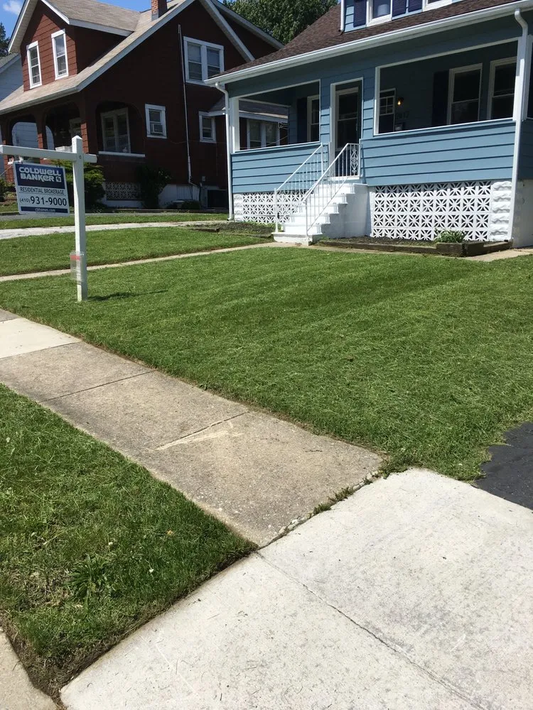 Affordable yard cleanup service with custom design in Baltimore, MD by Green City Landscaping