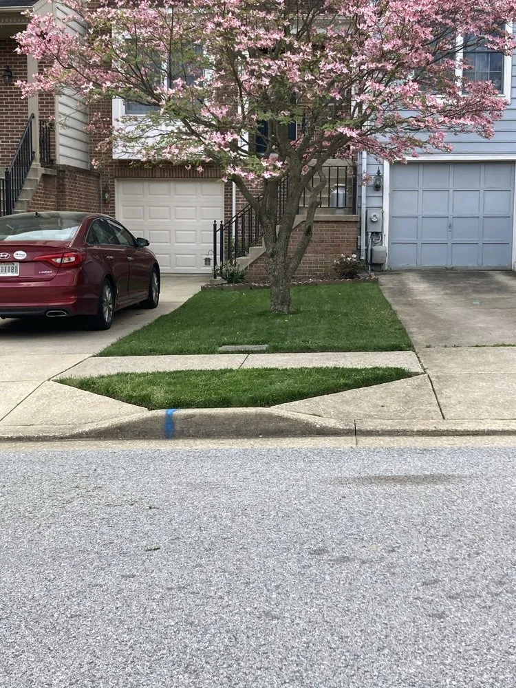 Reliable yard cleanup service for outdoor upgrades across Baltimore, MD - Green City Landscaping