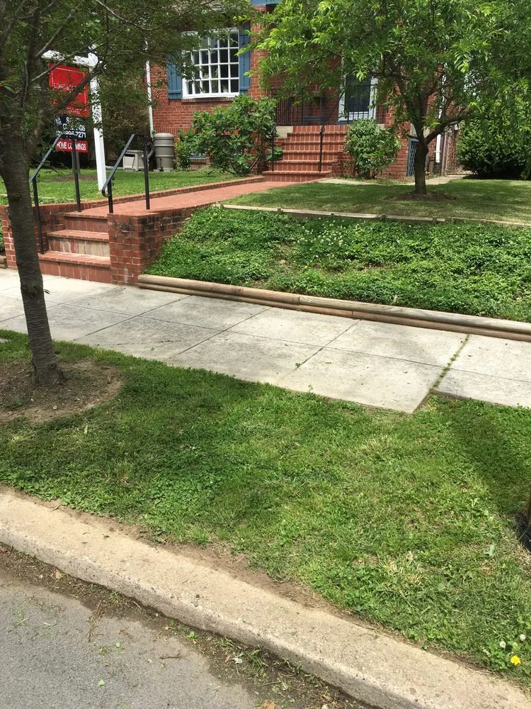 Expert lawn care service for year-round maintenance across Baltimore, MD - Green City Landscaping