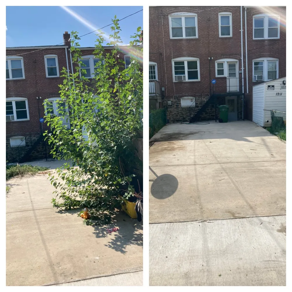 Trusted lawn care service experts serving Baltimore, MD - Green City Landscaping