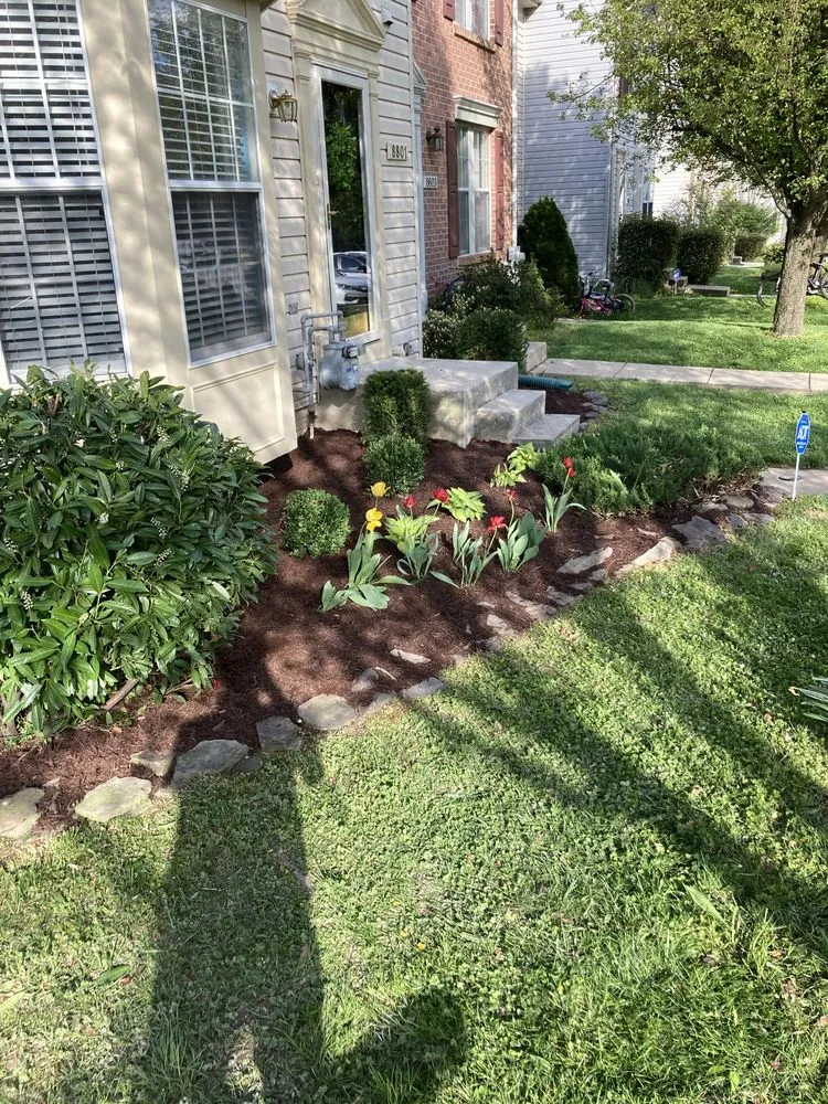 Expert landscape installation for beautiful yards in Baltimore, MD by Green City Landscaping