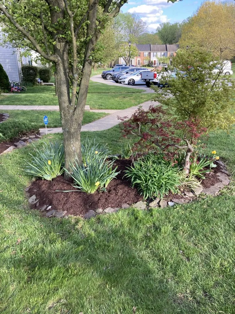 Local landscape design in Baltimore, MD by Green City Landscaping