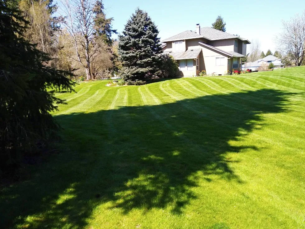 Affordable outdoor landscaping in Vancouver, WA - Green City Landscaping