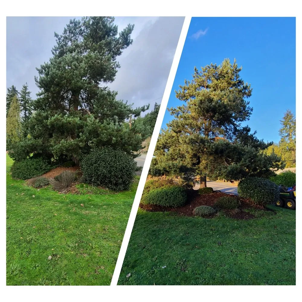 Affordable landscape design near you across Lynnwood, WA - Green City Lawn Care