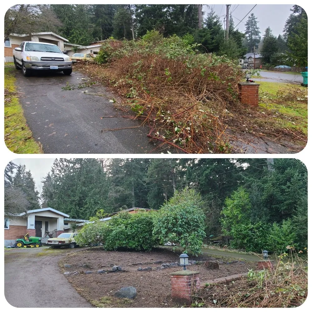 Expert landscaping services in Lynnwood, WA - Green City Lawn Care