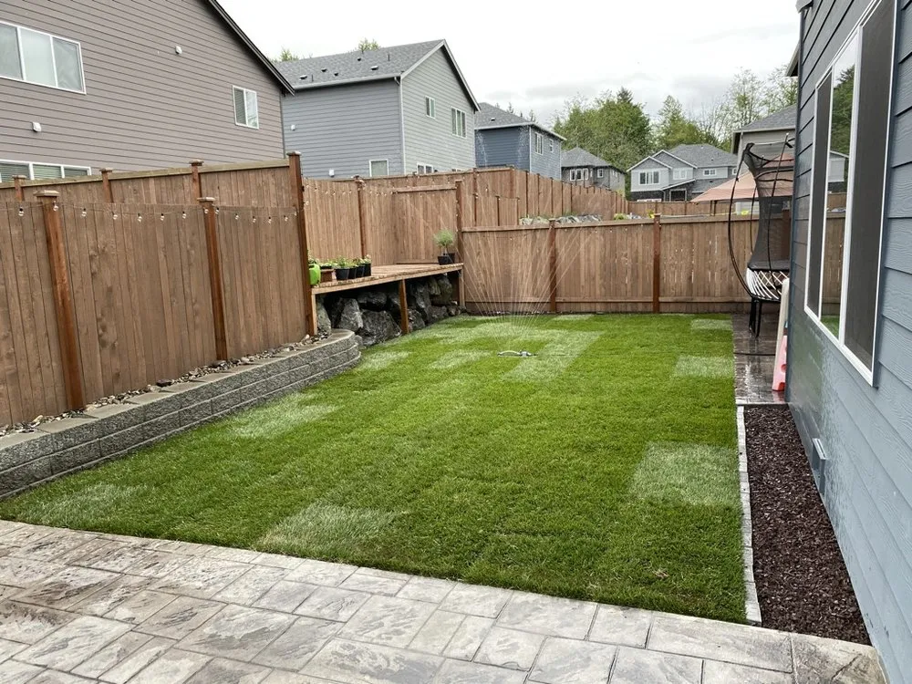 Top-rated yard cleanup service in Lynnwood, WA - Green City Lawn Care