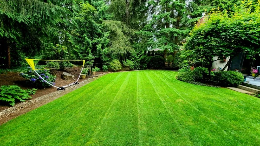 Affordable landscape design for outdoor upgrades across Lynnwood, WA - Green City Lawn Care