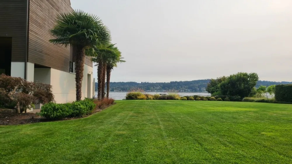 Trusted outdoor landscaping in Lynnwood, WA - Green City Lawn Care