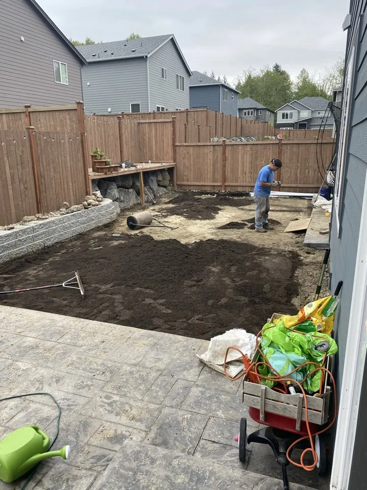 Affordable lawn care service in Lynnwood, WA by Green City Lawn Care