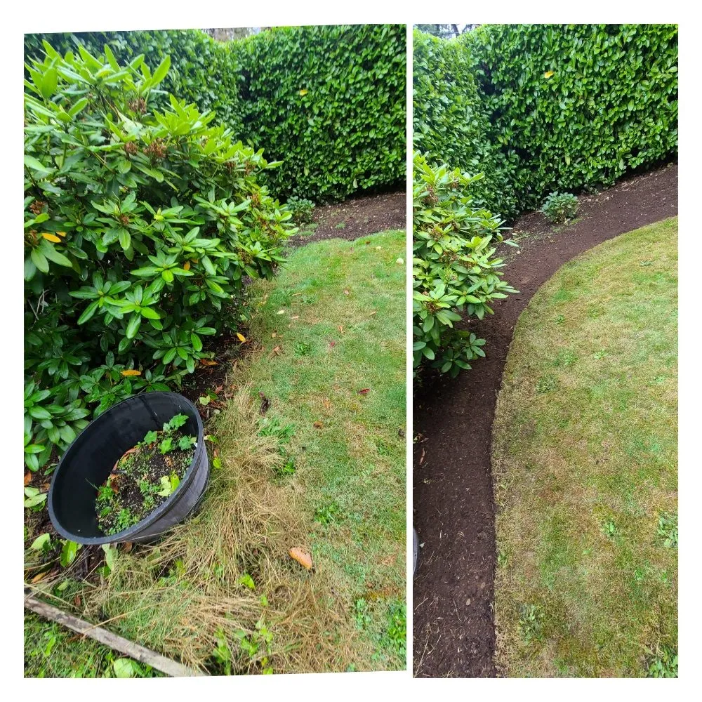 Expert residential landscaping experts serving Lynnwood, WA - Green City Lawn Care