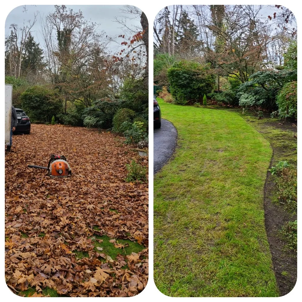 Local landscaping services experts serving Lynnwood, WA - Green City Lawn Care