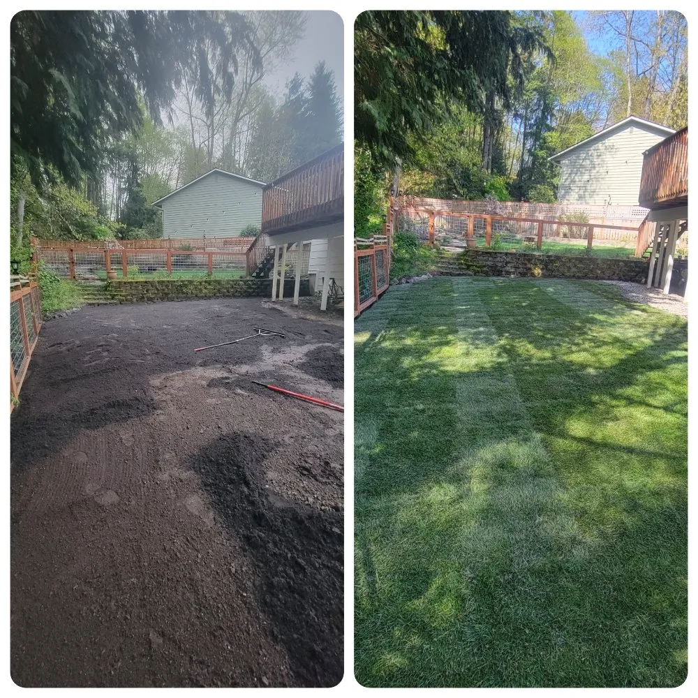 Expert yard maintenance for beautiful yards in Lynnwood, WA by Green City Lawn Care