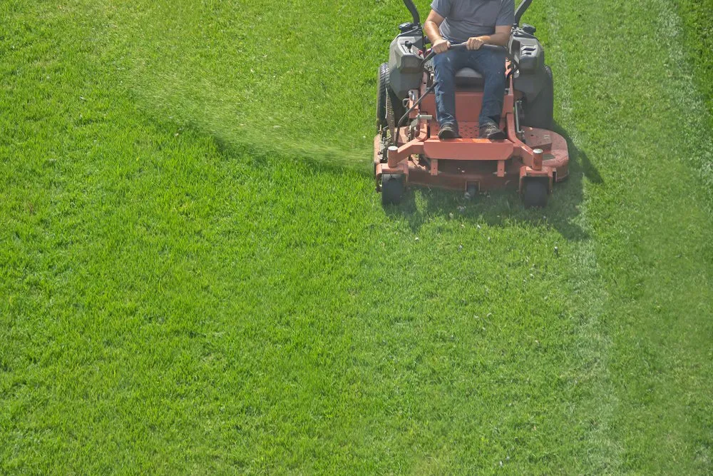 Reliable garden landscaping in Ridgefield, CT - Green City Preservation