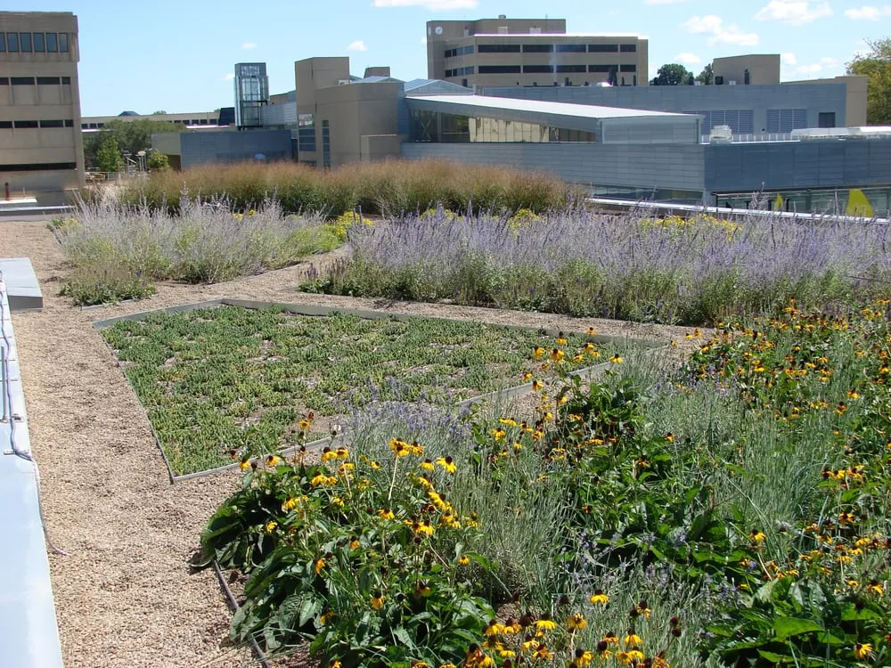 Trusted residential landscaping in Cincinnati, OH - Green City Resources