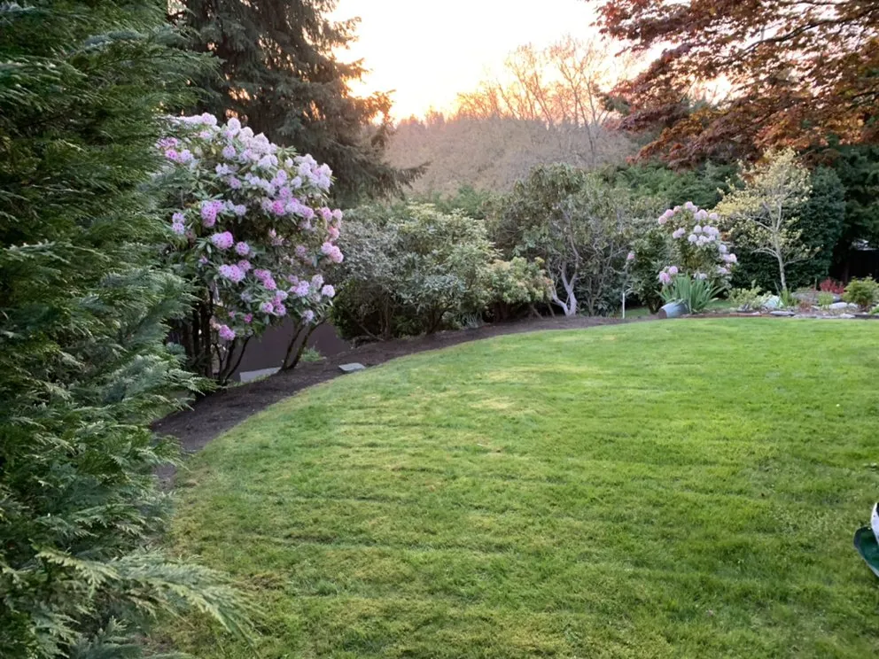 Custom lawn mowing service in Auburn, WA by Green City Tree Care