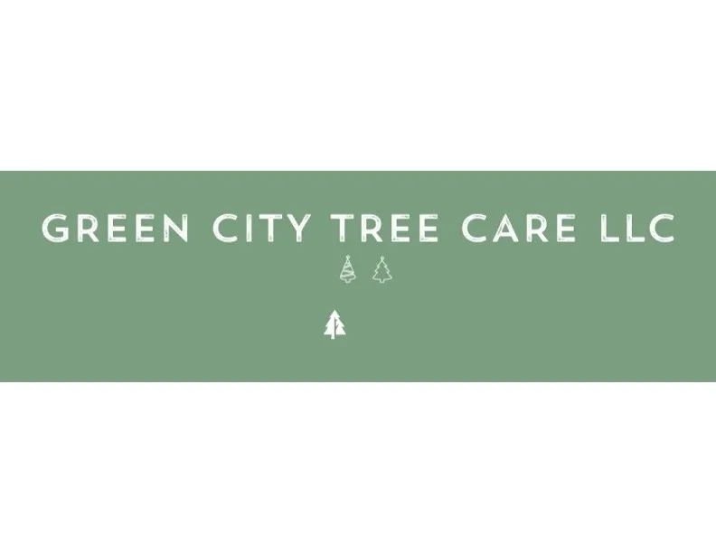 Expert yard cleanup service experts serving Auburn, WA - Green City Tree Care