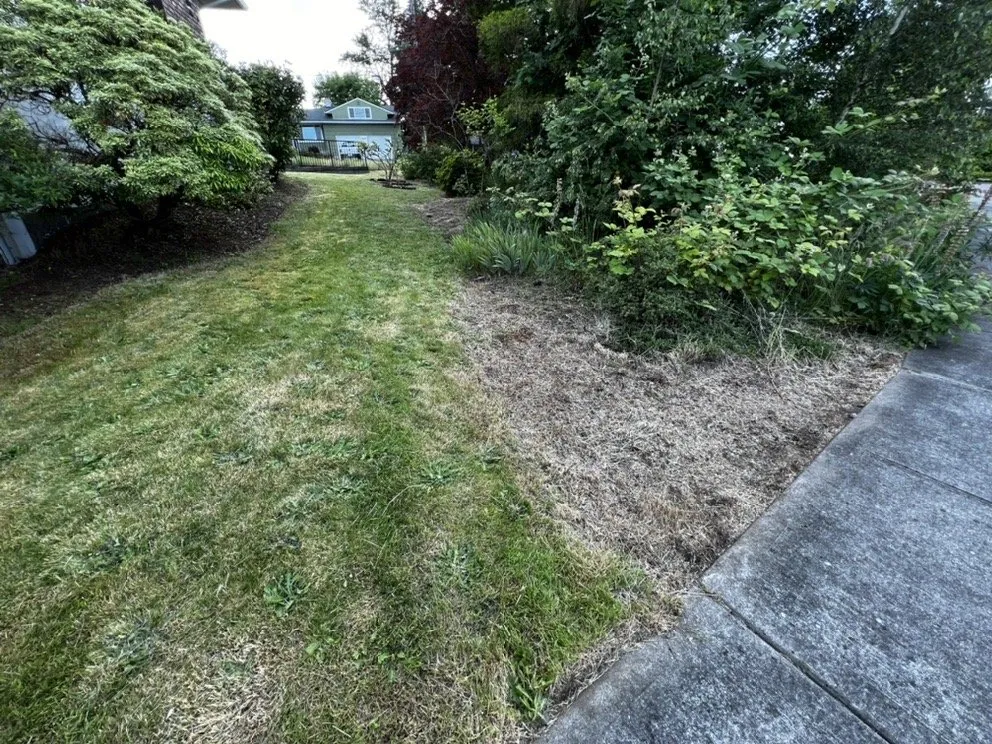 Professional lawn care service for outdoor upgrades in Auburn, WA by Green City Tree Care