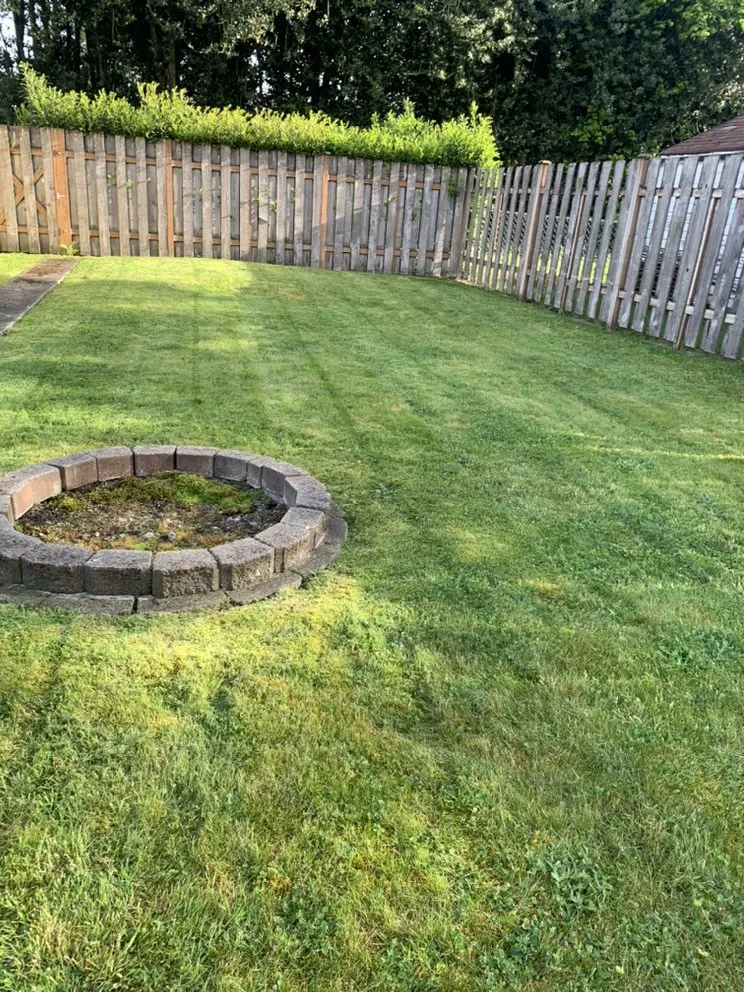 Affordable landscape design experts serving Auburn, WA - Green City Tree Care
