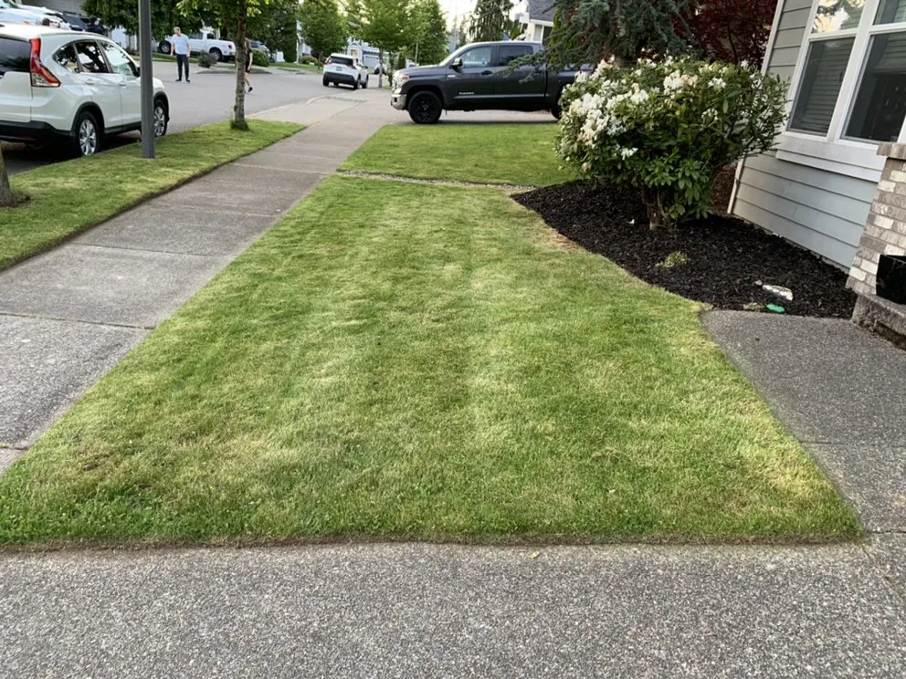 Custom garden landscaping near you across Auburn, WA - Green City Tree Care